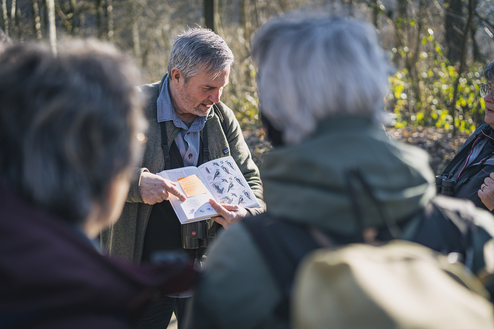 Activités nature en groupe